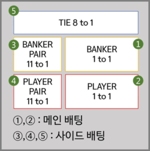 바카라 배팅 방법