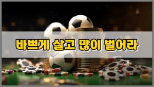 스포츠토토 먹튀